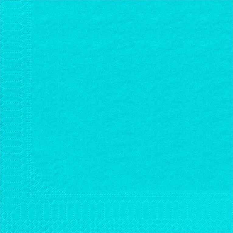 Serviette 30x39 Ouate Turquoise /100