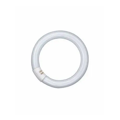 Néon Circulaire Blanc Neutre 32W