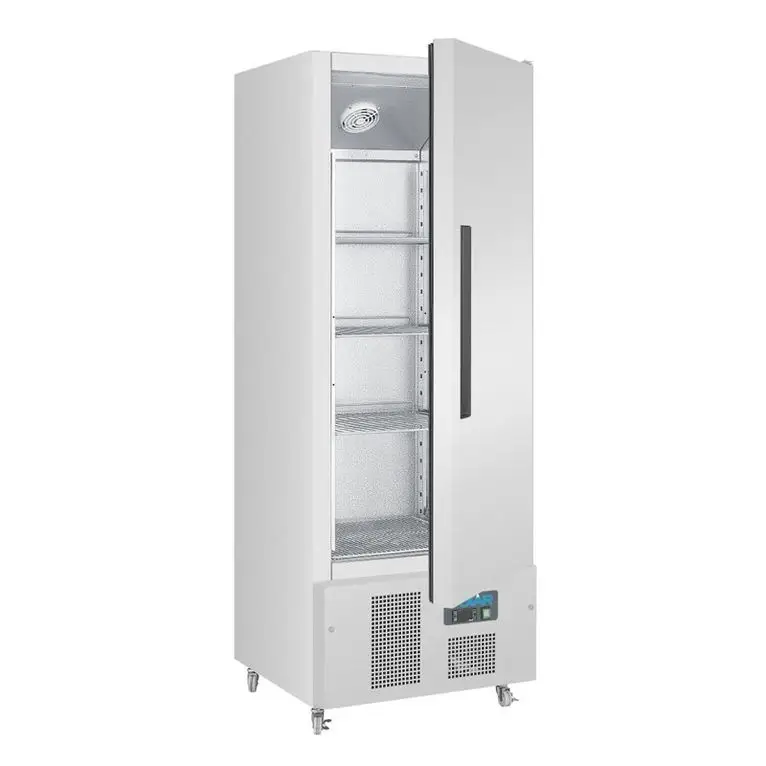 Armoire réfrigérée négative 1 porte 440L Polar Sér